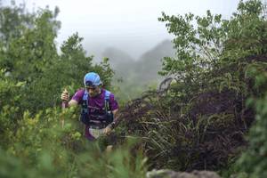 BIB: 205
                            <button type="button" onclick="openModal(24734779)" class="btn btn-primary btn-sm float-right btn-popup" data-toggle="modal" data-target=".modal-high-quality">
                        <i class="fas fa-shopping-cart"></i> Add to Cart
                    </button>
                                            <button type="button" onclick="isThisMe(24734779, true)" class="btn btn-success btn-sm float-right btn-popup btn-isme hidden" data-toggle="tooltip" data-placement="bottom" title="นี่คือรูปของคุณใช่ไหม คลิกที่นี่เพื่อเอาเข้าอัลบั้ม">
                        <i class="fas fa-plus"></i> Add to album
                    </button>
                    <button type="button" onclick="isThisMe(24734779, false)" class="btn btn-warning btn-sm float-right btn-popup btn-isnotme hidden">
                        <i class="fas fa-ban"></i> Remove from album
                    </button>